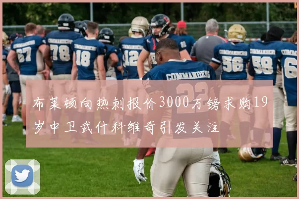布莱顿向热刺报价3000万镑求购19岁中卫武什科维奇引发关注